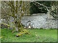 The Silenus Fountain, Hafod Old Mansion