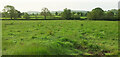 Farmland by Beaulieu Wood sewage works