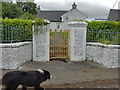 S4939 : Dog and Gate by kevin higgins