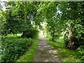 Path, Redford Wood