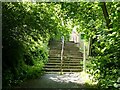 Steps, Redford Wood