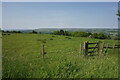 Field above Ben Rhydding