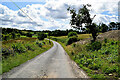 Creaghmore Road, Drumnaforbe