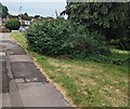 ST3090 : Brambles alongside a footpath, Malpas, Newport by Jaggery