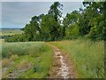 Footpath towards Letcombe Bassett