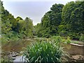 Wildlife conservation area, Letcombe Bassett