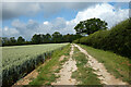 Track and farmland, West Meon