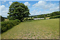 Pasture, East Meon