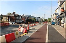 TL4559 : Cycle lane on Milton Road, Cambridge by David Howard