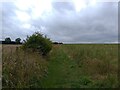 Footpath towards Kingston Lisle