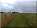 Footpath towards Kingston Lisle