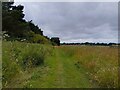 Footpath towards Kingston Lisle