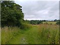 Footpath towards Kingston Lisle