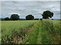 North Worcestershire Path towards Drakelow