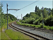 SJ8092 : Metrolink tracks heading to cross the River Mersey by Kevin Waterhouse