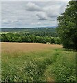 North Worcestershire Path towards Drakelow