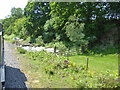 Start of abandoned Oakwood Branch, Severn and Wye Railway