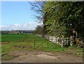 Diamond Way Footpath