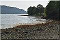 Shores of Loch Long