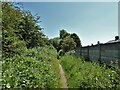 Bridleway on route of former railway