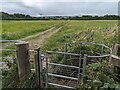 Footpath to Five Crosses