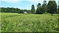 View across field at Farley