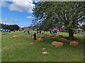 Playing fields at Condover C of E Primary School