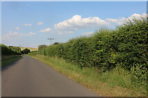 TL4740 : Quickset Road, Elmdon by David Howard