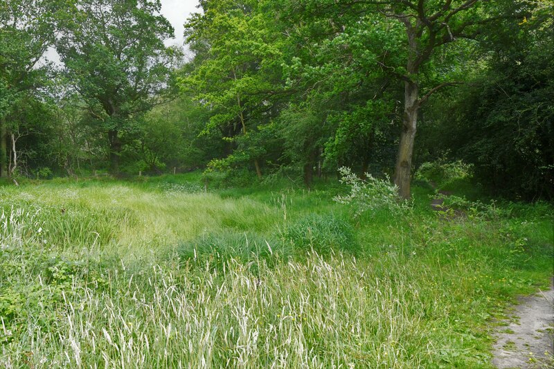 Thompson, The Pingo Trail Walk: Woodland © Michael Garlick :: Geograph ...