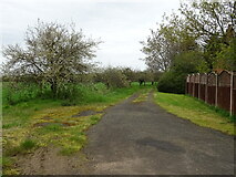SO9747 : Track (bridleway), Upper Moor by JThomas