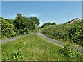 Cycle path following route of former railway