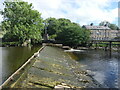 SD8165 : Almost dry weir on the River Ribble by Christine Johnstone