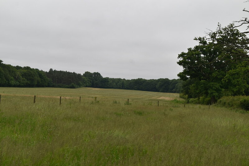 Meadow N Chadwick Geograph Britain And Ireland