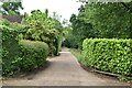 Track near Egypt Woods Cottages