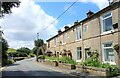 Cottages at Handle Hall