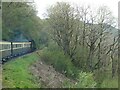 Vale of Rheidol Railway train rounding a curve, Allt Ddu