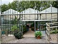 SJ7539 : The greenhouse at the Dorothy Clive Gardens by Oliver Dixon