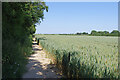 Footpath to Wine House Lane