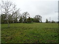 Grazing near Archfield Farm