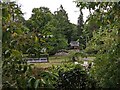 Trees at Kinsham Court