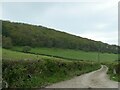 Track to Pwll-clai from near Capel Bangor station