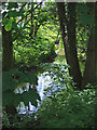 River Stour in Kidderminster, Worcestershire