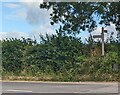 Wooden signpost opposite a bend in the road in northern Monmouthshire