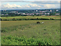 View from Nerston Road, East Kilbride