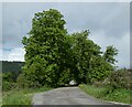 Road to Llandinam Hall