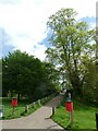 Path to suspension bridge, Dolerw Park