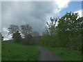 Severn Way (NCN81) on edge of Newtown