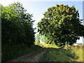 Byway near Shereford