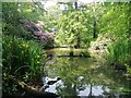 Pond, Icehouse Wood