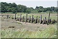 Old Jetty on St Osyth Creek